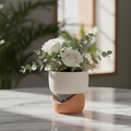Self-Watering Vase