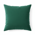 Velvet Throw Pillow